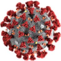 Coronavirus